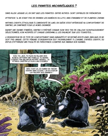 Les Chimpanzés machiavéliques ? gorille