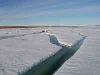 L'Arctique subit de plein fouet le changement climatique L'Arctique subit de plein fouet le changement climatique