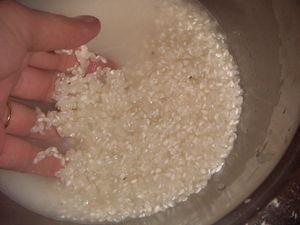 Onigiri PICT0062