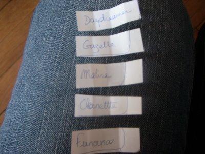 And the winners are.....