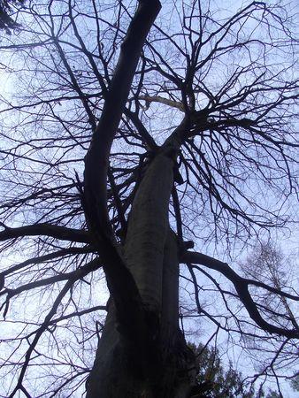 Apprends nous à aimer (Michel Serin) d_but_mars_091