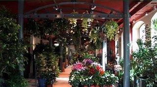 La boutique Vilmorin célèbre l'arrivée du printemps