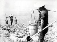 L'île nue de Kaneto Shindo : L'obsession de la terre