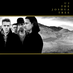 Chasseur d'orages - Elise Fontenaille joshua_tree_cover