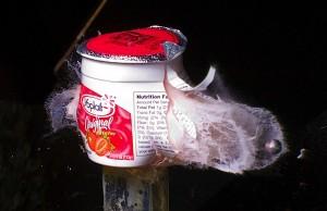 high-speed-photography-6