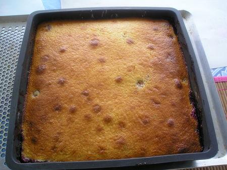 gâteau aux framboises P3140174