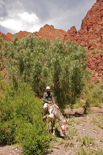 Problèmes de sortie Problèmes de sortie