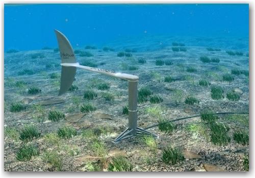 biostream_01 biostream_01