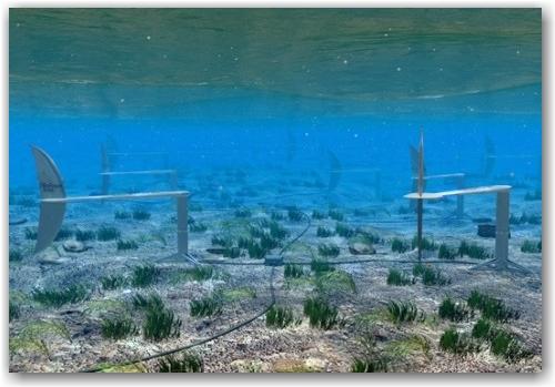 biostream_02 biostream_02