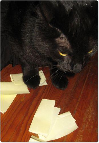 Du jeu, du jeu, du jeu, tellement de jeu.. Cannelle Tirage au sort.jpg