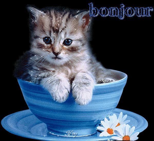 Accouchement d'urgence,très émouvant! Accouchement d'urgence,très émouvant!