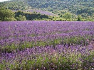 rendre visible l'invisible