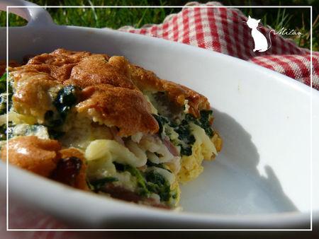 Clafoutis épinards et jambon de Parme clafoutis__pinards_015_copier