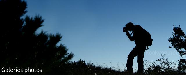 Ouverture des galeries photos