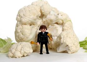 tajine de veau au chou fleur et citron confit tajine de veau au chou fleur et citron confit