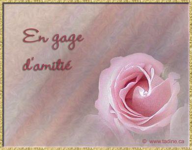 Les couleurs de l'amitié Les couleurs de l'amitié