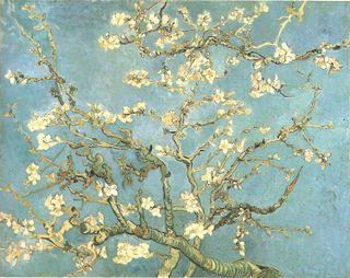 Vive le printemps ! Van Gogh - Branches d'amandier en fleurs, 1890