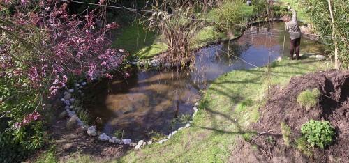piscine-naturelle jardin piscine