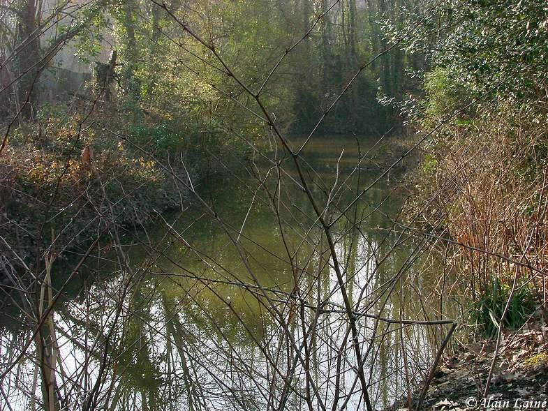 Prairies St Martin - Rennes Prairies_St_Martin_20Fev09_1