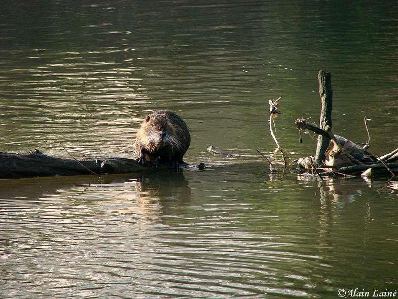 Prairies St Martin - Rennes Prairies_St_Martin_20Fev09_4
