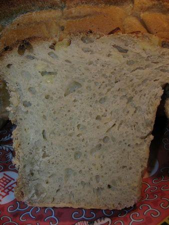 Brioche du soleil 066