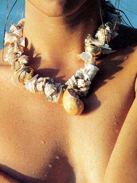 D’où vient le peuple polynésien ? cauris-sur-vahine.1237555191.jpg