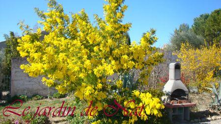 Quatre-quarts à la farine de châtaigne, aie, aie!!!! 017