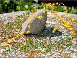 Comment donner vie à vos discours ? Comment donner vie à vos discours ?