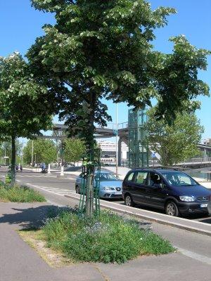 Semaine sans pesticides espaces verts Paris donnent l'exemple
