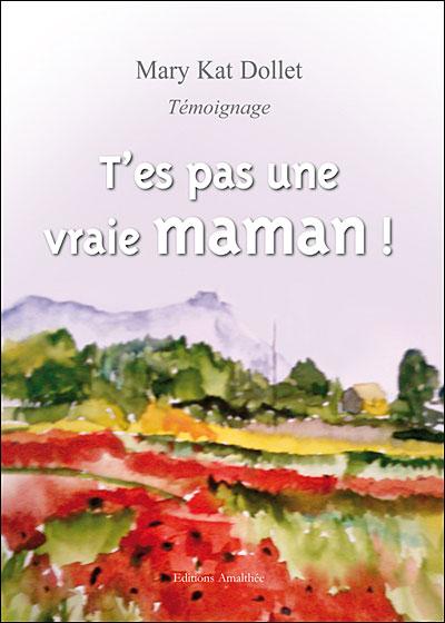 T'es pas une vraie maman T'es pas une vraie maman