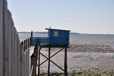 Initiatives Océanes - Nous avons réhabilité 1,5 km de littoral Initiatives Océanes Nous avons réhabilité littoral