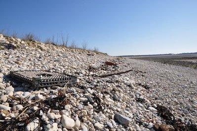 Initiatives Océanes - Nous avons réhabilité 1,5 km de littoral Initiatives Océanes Nous avons réhabilité littoral