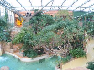 Quelques photos de nos vacances à Center Parcs au Lac d'Ailette P3170564