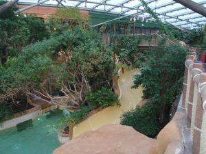 Quelques photos de nos vacances à Center Parcs au Lac d'Ailette P3170565