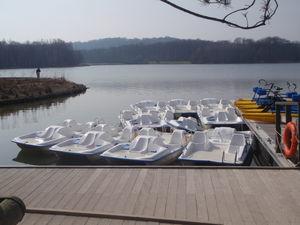 Quelques photos de nos vacances à Center Parcs au Lac d'Ailette P3170461