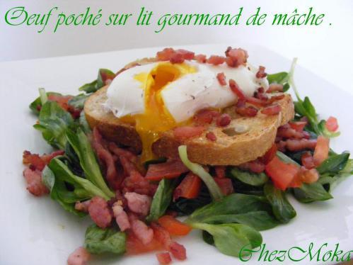 Oeuf poché sur lit gourmand de mâche. Oeuf poché sur lit gourmand de mâche.