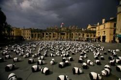 L'opération 1600 pandas investit Lyon pandas