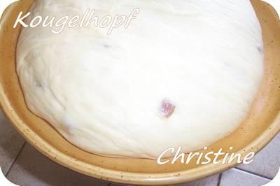 ~~ Le Kougelhopf de Fidji ~~ ~~ Le Kougelhopf de Fidji ~~