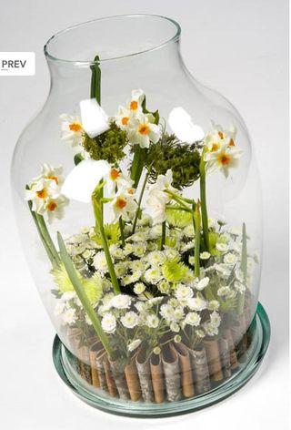 Printemps chez just'chrysantemum P-talents