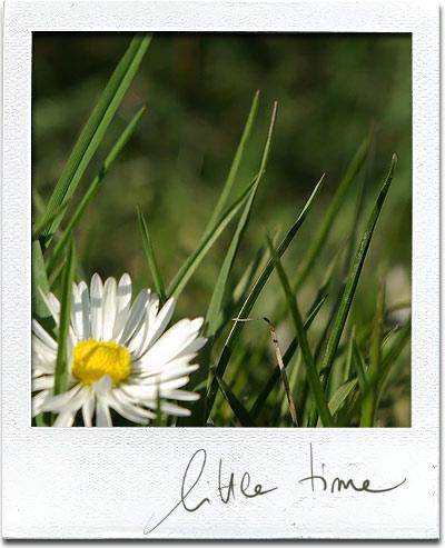 En attendant le printemps En attendant le printemps…