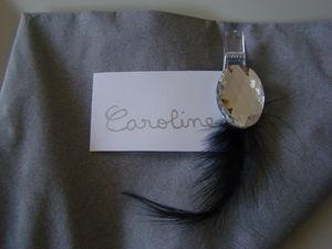 Le ciel est bleu, la table est grise! DSC08671