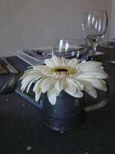 Le ciel est bleu, la table est grise! DSC08676