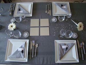 Le ciel est bleu, la table est grise! DSC08679