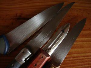 Fines lames DSC07104