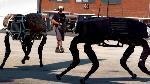 Un robot à quatre pattes remplace les soldats ! bigdog