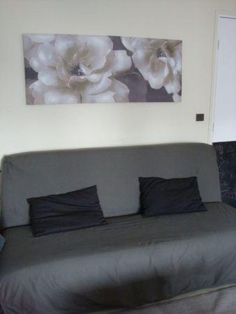 Taupe ou gris ? DSC07116