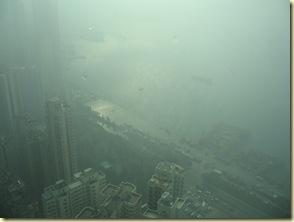 Patchwork printanier... Mars2009_496