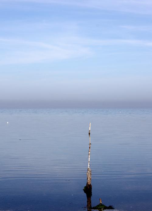 je-vois-le-pecheur je-vois-le-pecheur