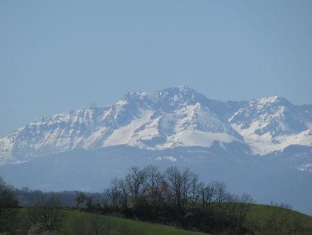Zoom sur le pic du midi ! IMG_0412