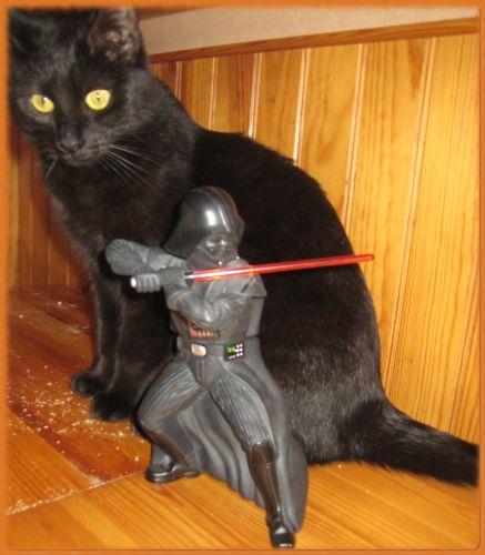 La guerre des étoiles ... de série B.. Cannelle Dark Vador.jpg